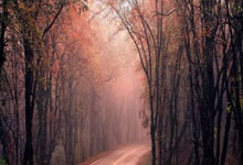 怎么在手机上卖股票:购买股票的软件排行-习近平在上海合作组织成员国元首理事会第二十五次会议上的讲话（全文）